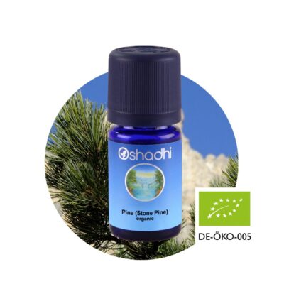 Cirbolyafenyő bio, stone pine, (Pinus cembra) 10 ml, Oshadhi aromaterápia